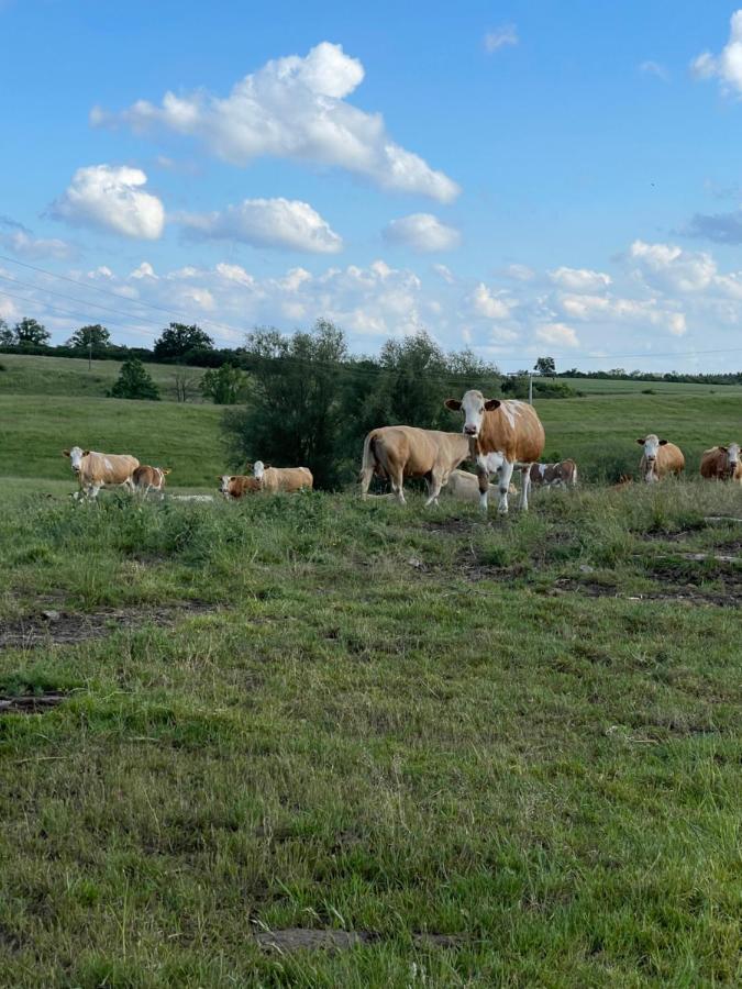 Radlerzimmer Mit Duschbad Und Minikueche In Neu Gaarz, Mitten In Der Natur ภายนอก รูปภาพ