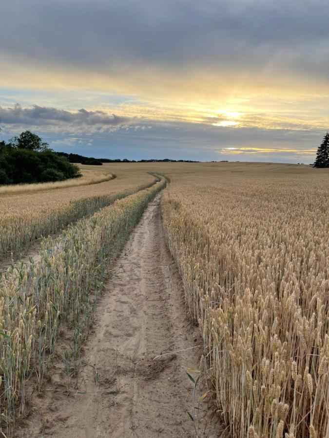 Radlerzimmer Mit Duschbad Und Minikueche In Neu Gaarz, Mitten In Der Natur ภายนอก รูปภาพ