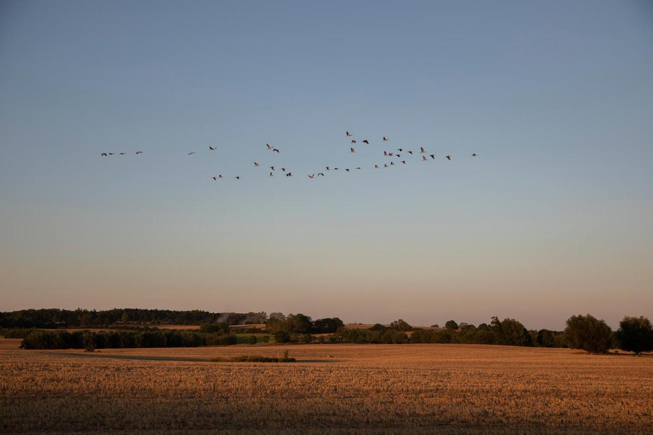 Radlerzimmer Mit Duschbad Und Minikueche In Neu Gaarz, Mitten In Der Natur ภายนอก รูปภาพ