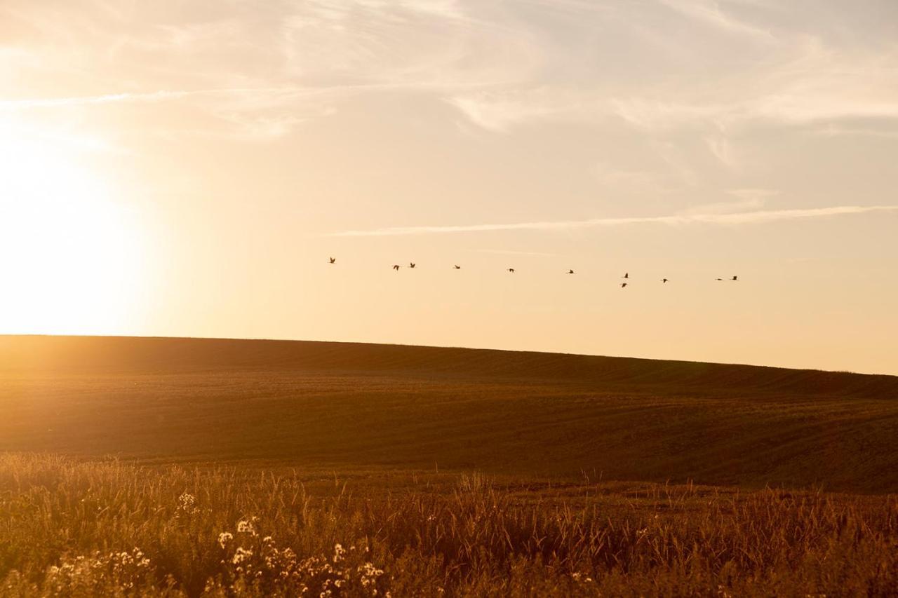 Radlerzimmer Mit Duschbad Und Minikueche In Neu Gaarz, Mitten In Der Natur ภายนอก รูปภาพ